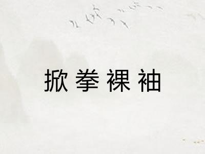 掀拳裸袖