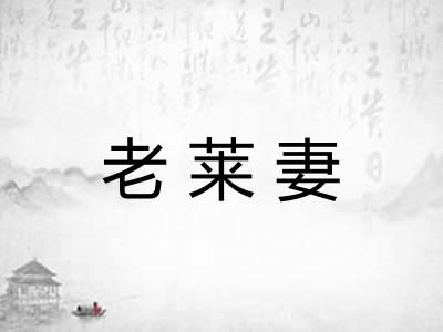 老莱妻