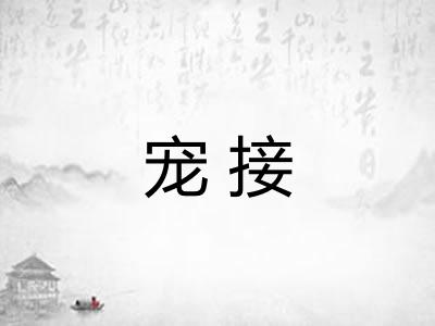 宠接