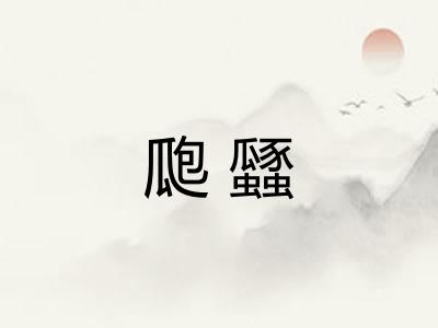 瓟瓥