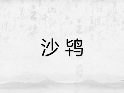 沙鸨