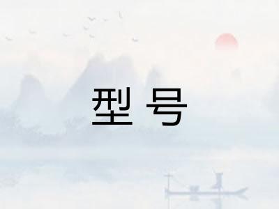 型号