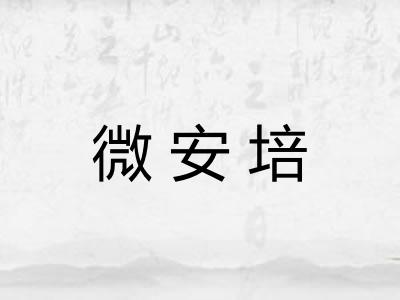 微安培