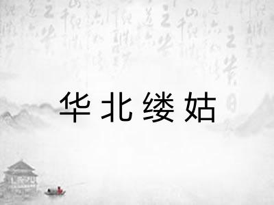 华北缕姑