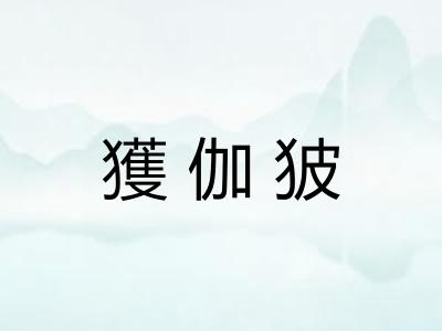 獲伽狓