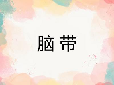 脑带