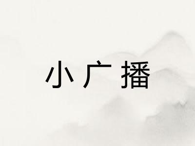 小广播