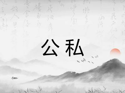 公私