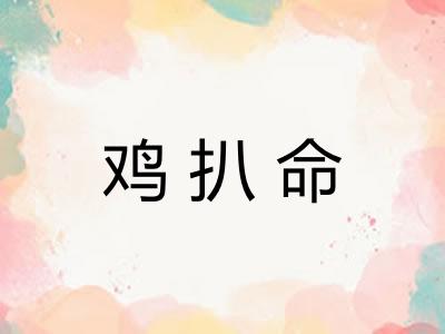 鸡扒命