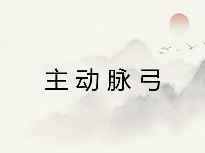 主动脉弓