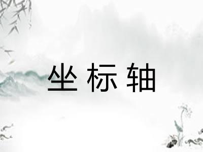 坐标轴