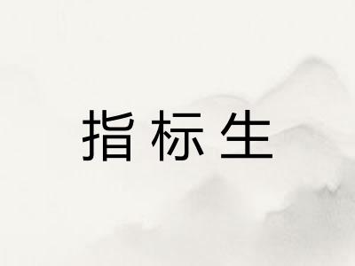 指标生