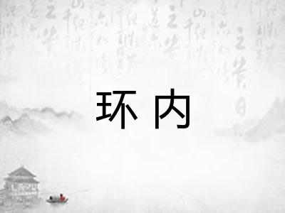 环内