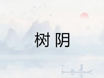 树阴
