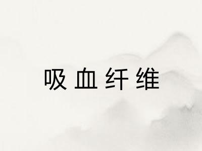 吸血纤维