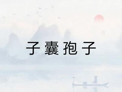 子囊孢子