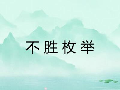 不胜枚举