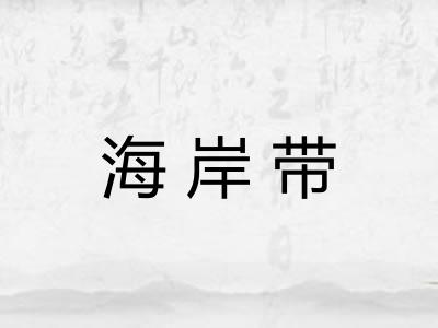 海岸带