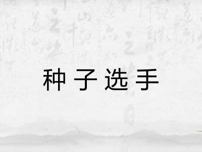 种子选手