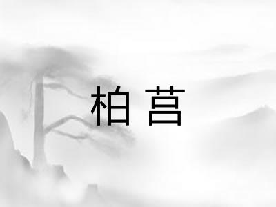 柏莒