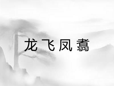 龙飞凤翥