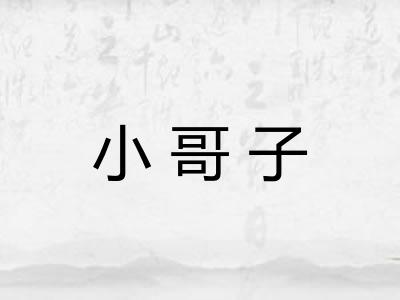 小哥子