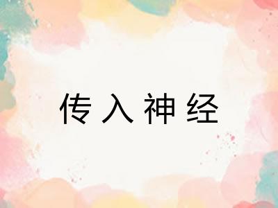 传入神经