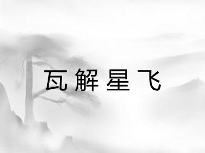 瓦解星飞