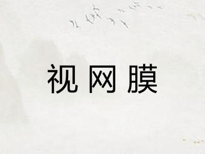 视网膜