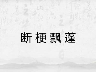 断梗飘蓬