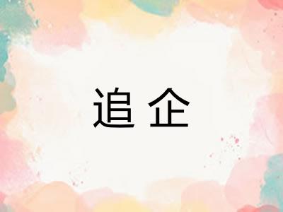 追企