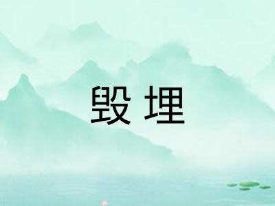 毁埋