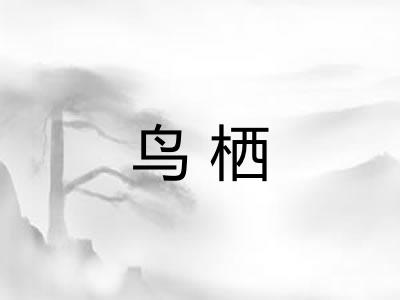 鸟栖