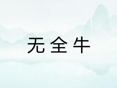 无全牛