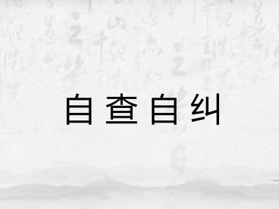 自查自纠