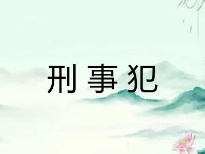 刑事犯