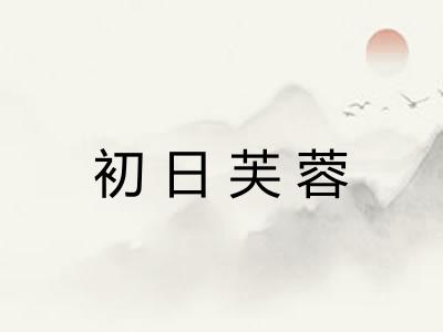 初日芙蓉