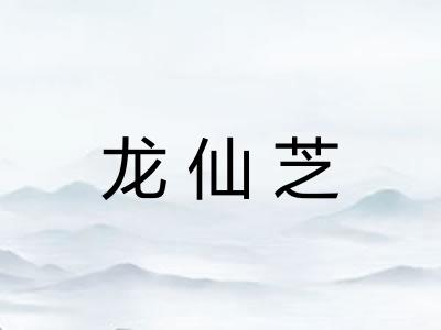 龙仙芝