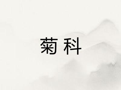 菊科