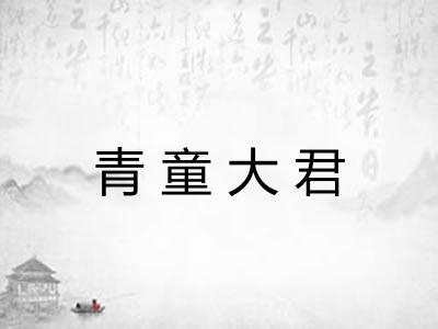 青童大君