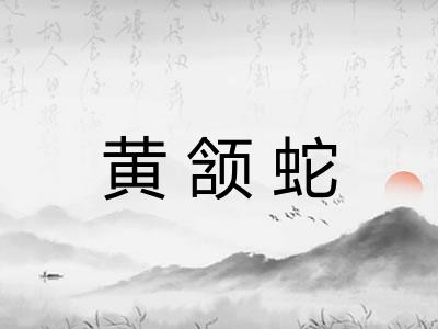 黄颔蛇