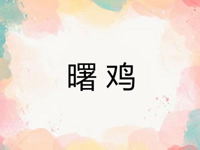 曙鸡