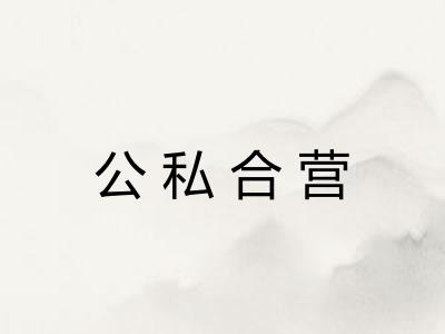 公私合营