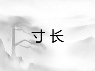 寸长