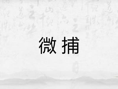 微捕