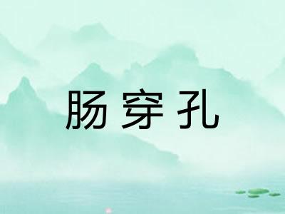 肠穿孔