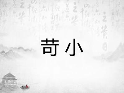 苛小