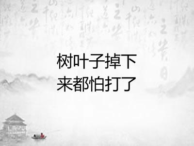 树叶子掉下来都怕打了头