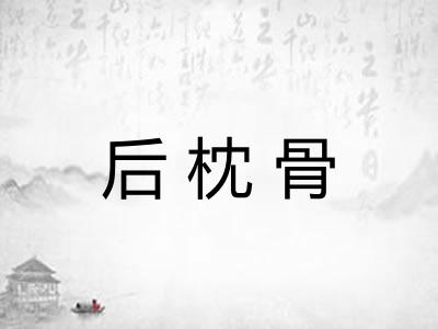 后枕骨