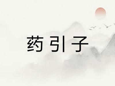 药引子